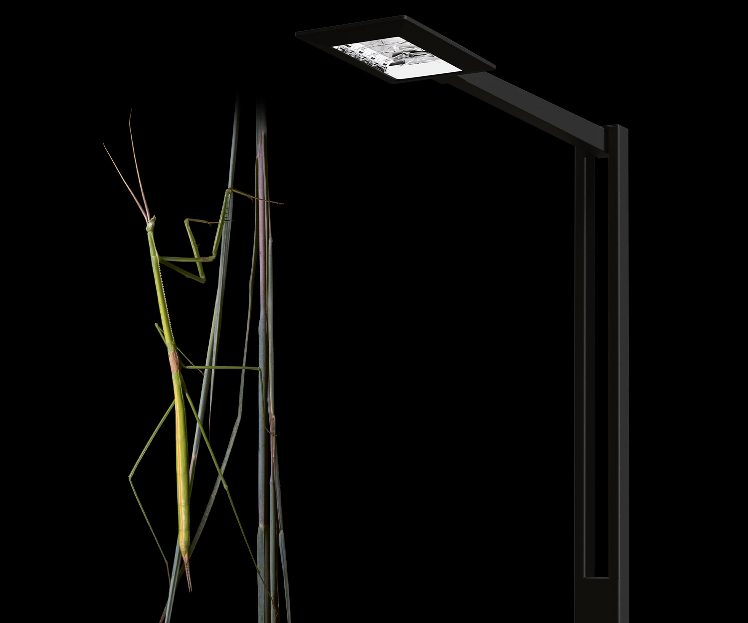 Produktbilde av Structural Design Pole fra Selux
